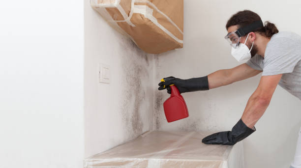 Professional Mold Inspection And Testing technician working in Haworth, NJ